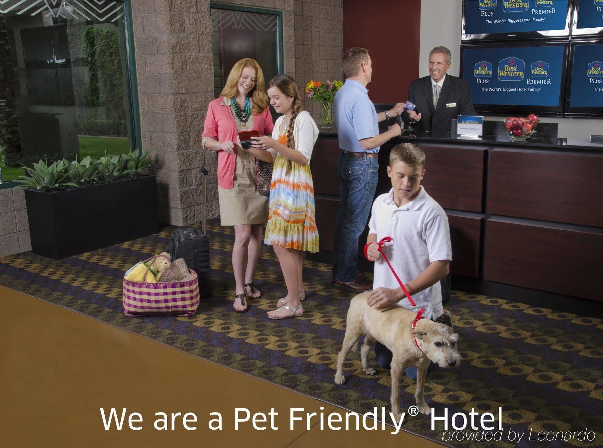 Best Western Plus Lytle Inn And Suites Екстер'єр фото